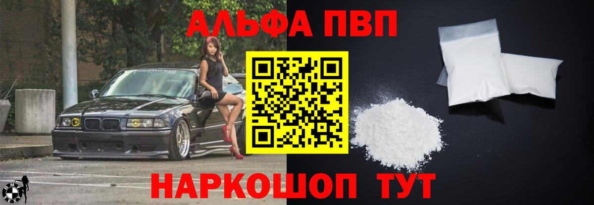 Альфа ПВП СК Новошахтинск